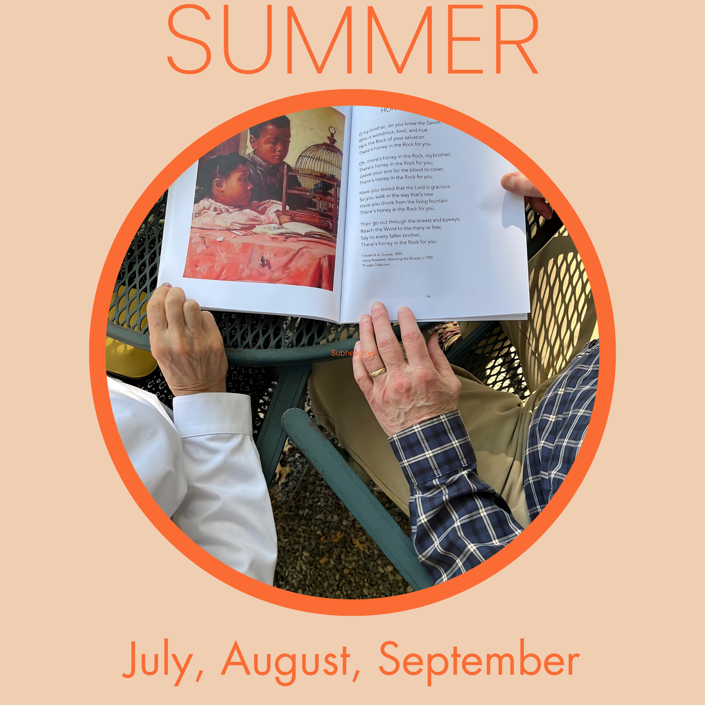 Summer Bundle | 10 Summer Themed Books